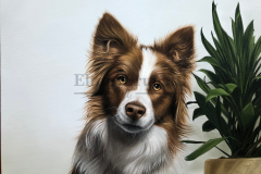 pintura-Border-collie-oleo-sobre-tela-50-x-70-cm-03