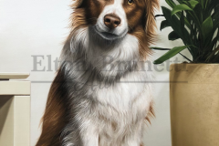 pintura-Border-collie-oleo-sobre-tela-50-x-70-cm-04