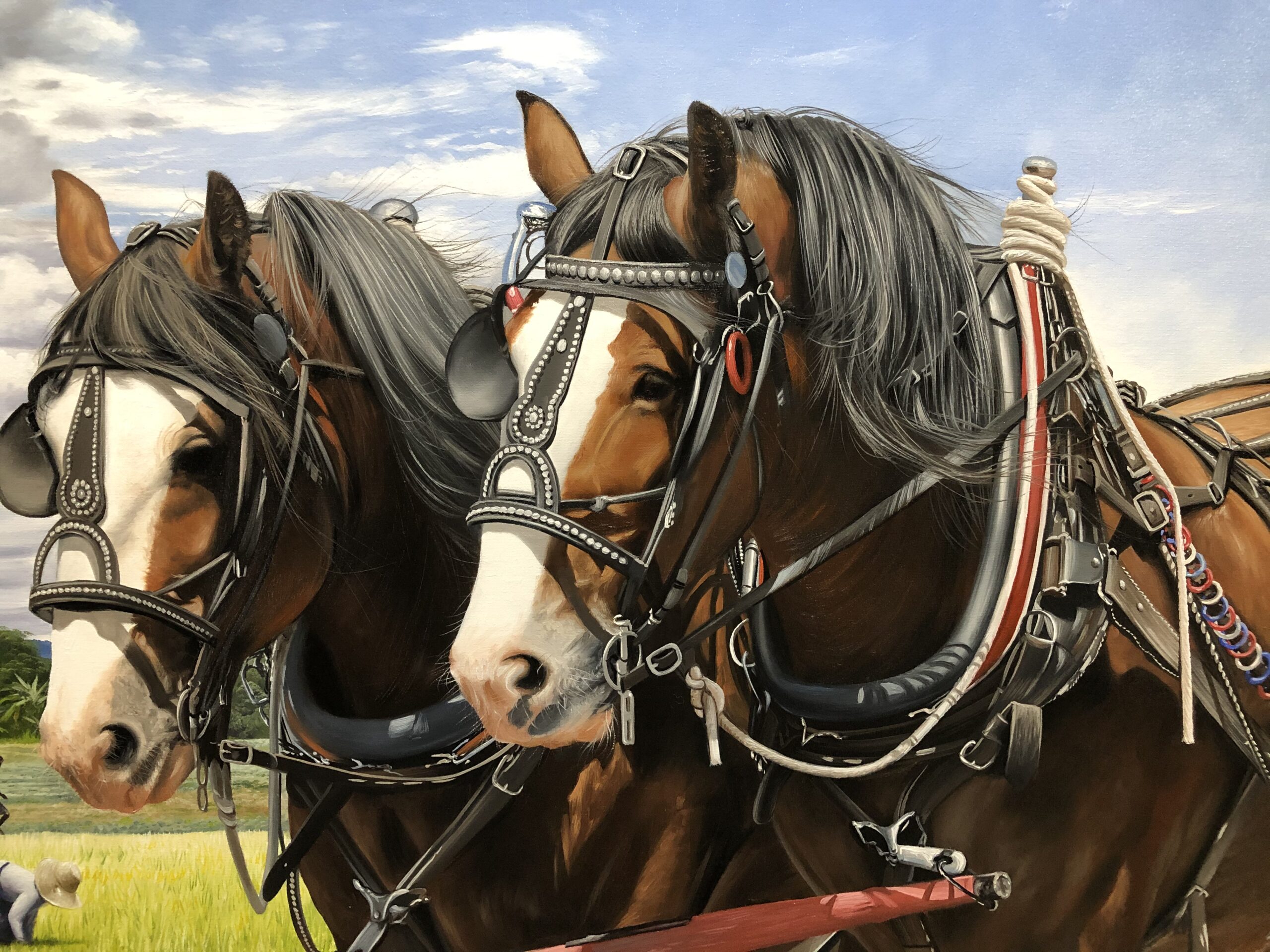 Friesian: Desenho realista de cavalo Frísio baseado em foto de