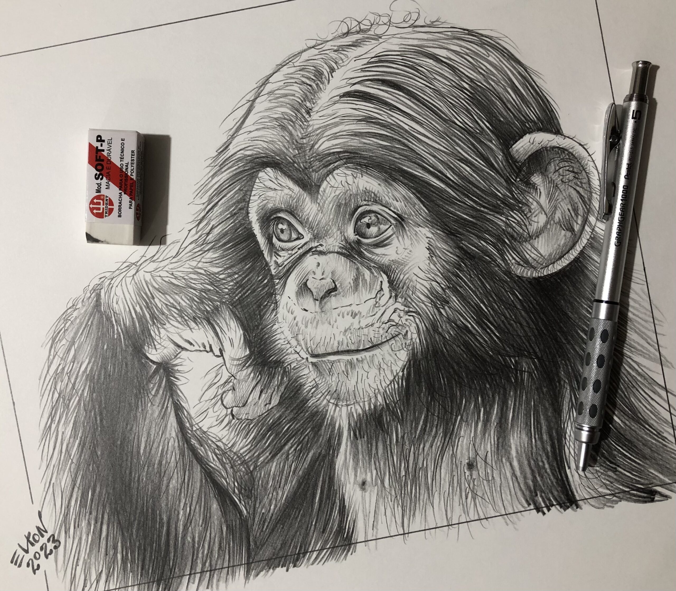 Como desenhar um Chimpanzé realista 