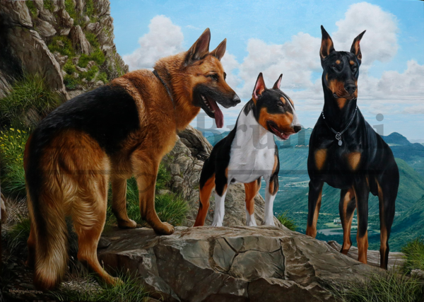 Pintura cães de guarda, óleo sobre tela 70 x 100 cm